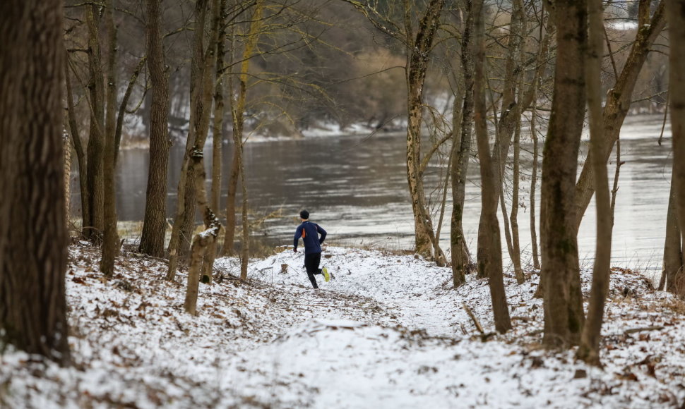 Tvarkomas Vingio parkas