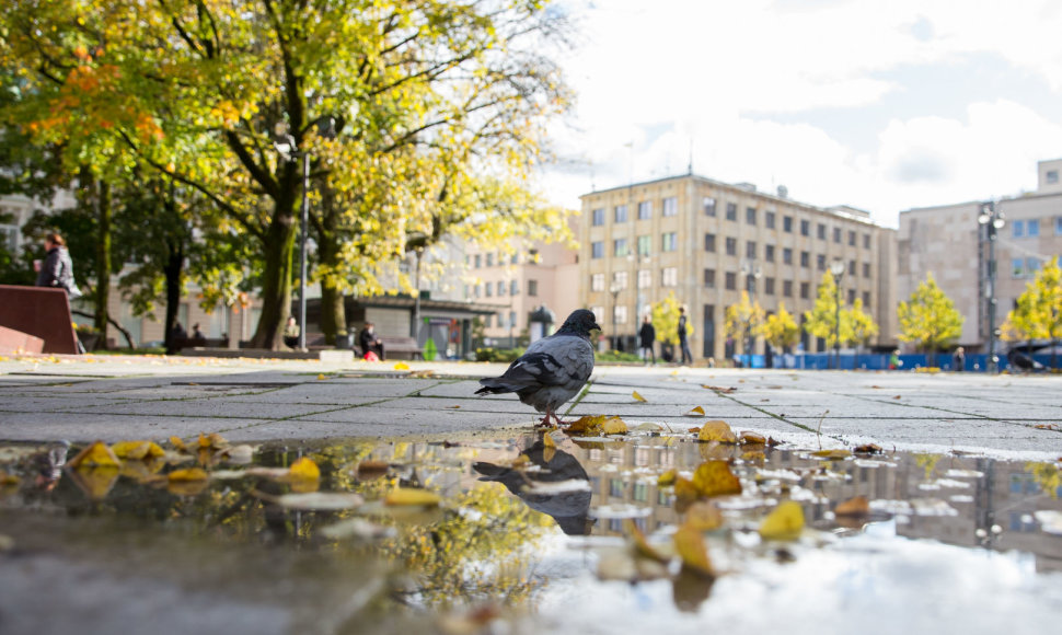 Permainingas Spalio oras Vilniuje