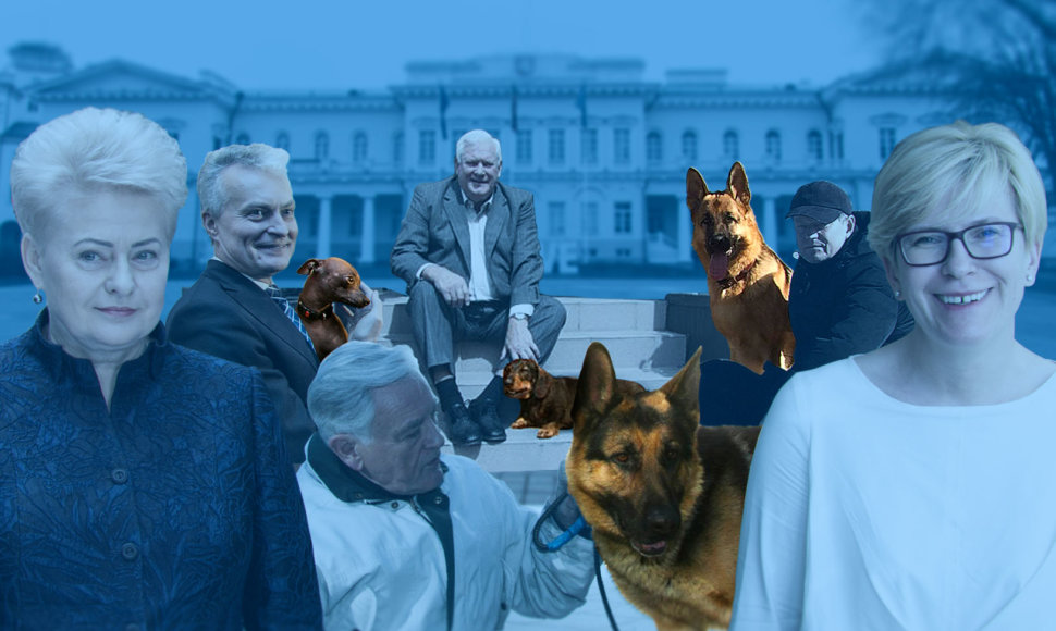 Prezidentų šunys