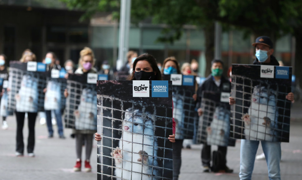 Protestas prieš audinių fermas Nyderlanduose