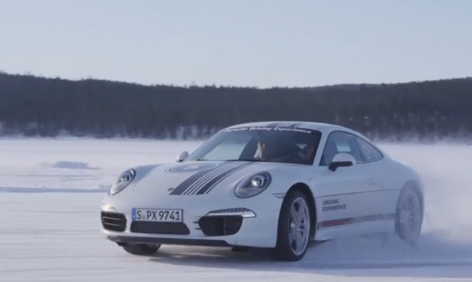 „Porsche“ ant ledo