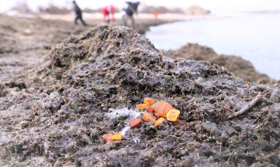 Pirmojoje Melnragėje paplūdimys nuklotas kelių šimtų metrų ilgio jūržolių kilimu, kuriame galima rasti gintaro gabaliukų.