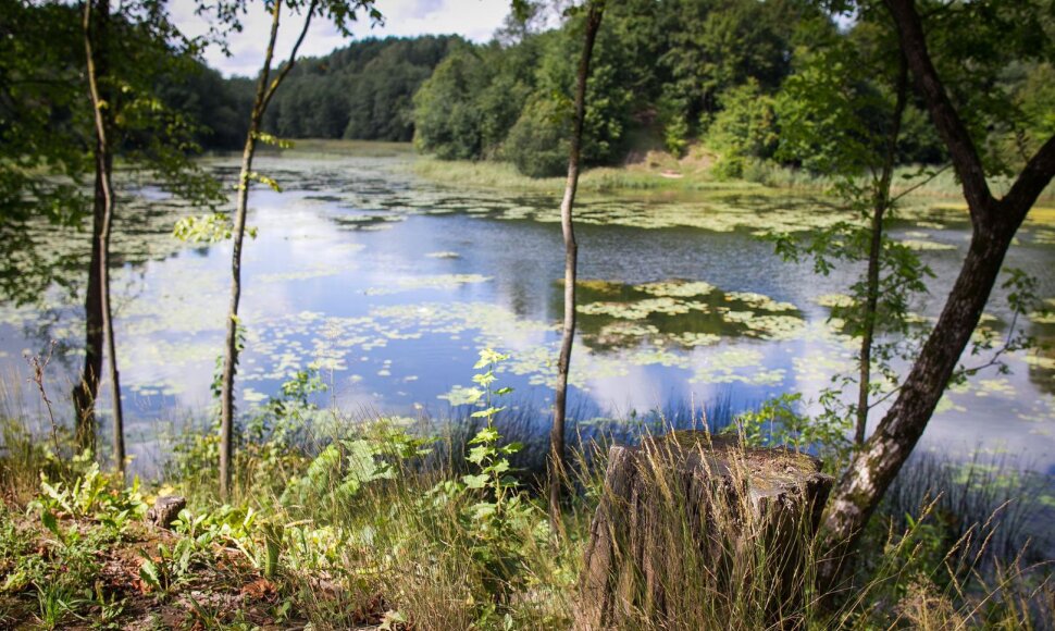 Jeruzalės tvenkinys &scaron;alia Santari&scaron;kių