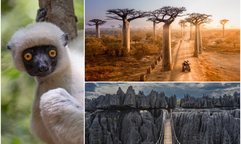 Madagaskaras