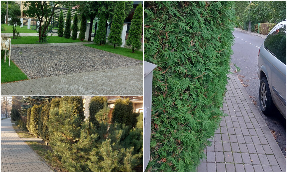 Kauniečio užfiksuoti galimi pažeidimai Žaliakalnyje