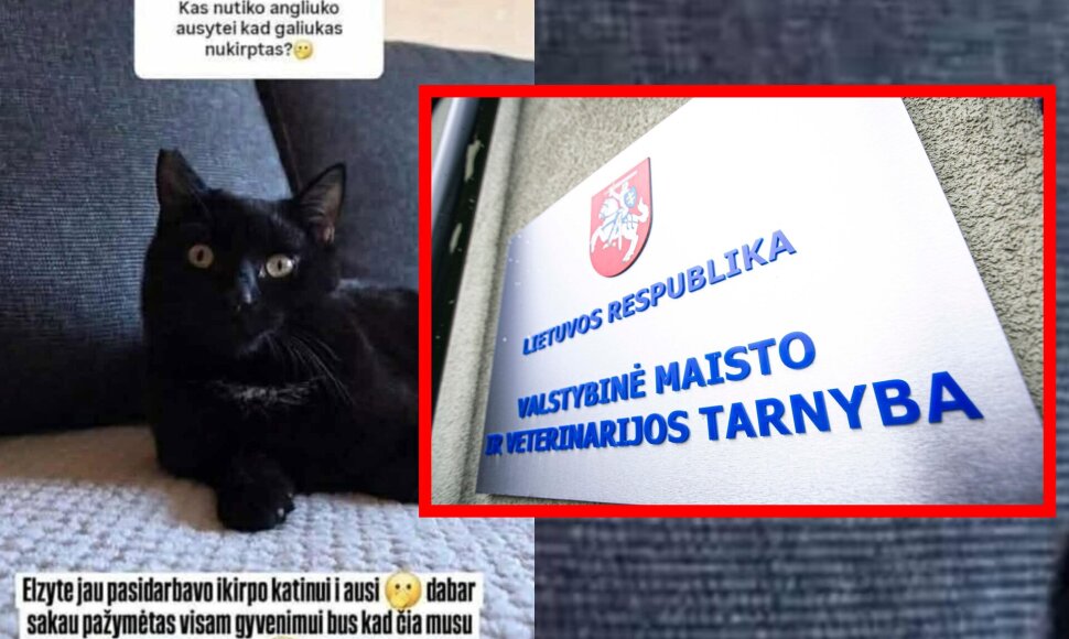 Influencerės įra&scaron;as, VMVT