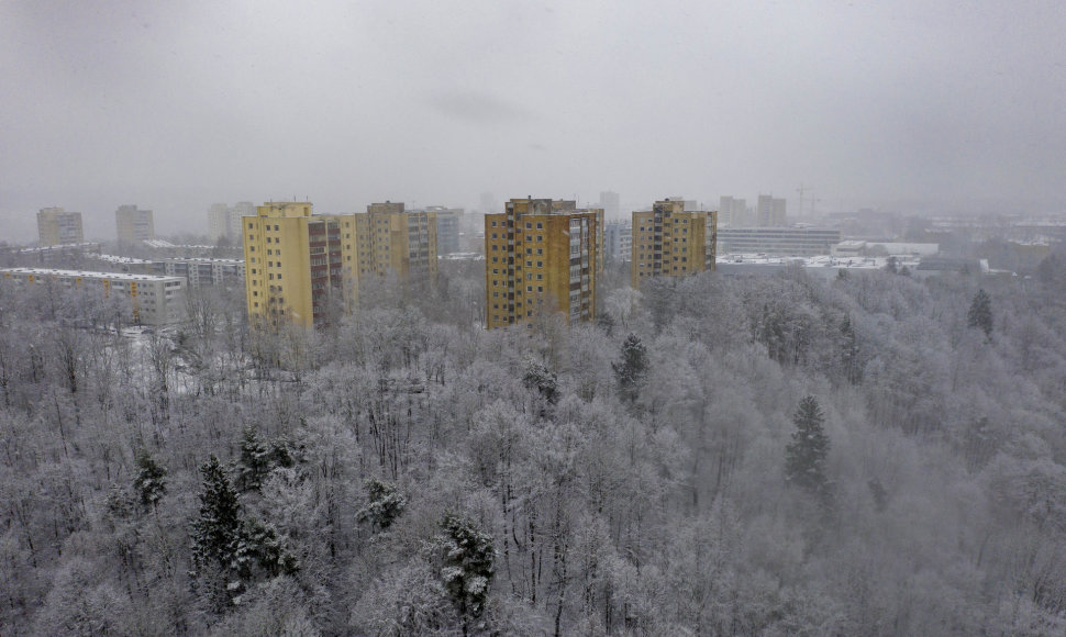 Vilnių nuklojo sniegas