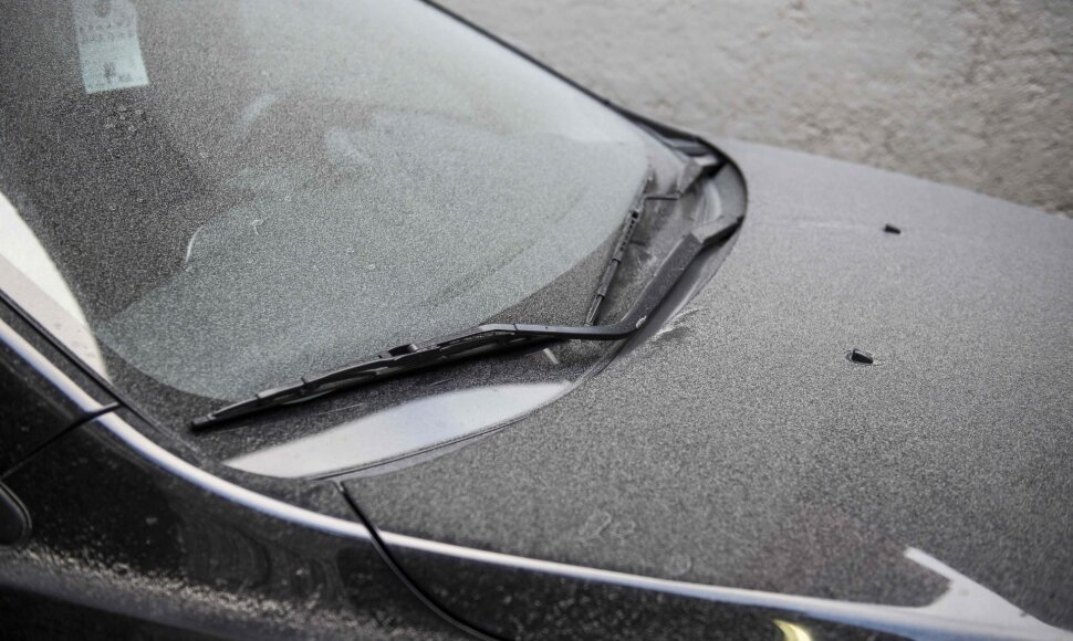 Pelenai ant automobilio Meksike