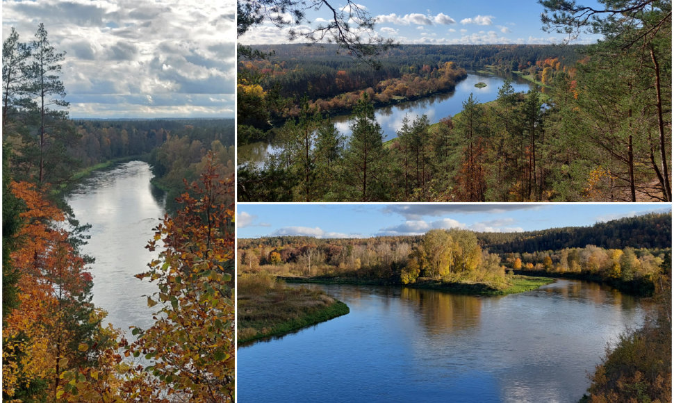 Neries slėnis rudenį