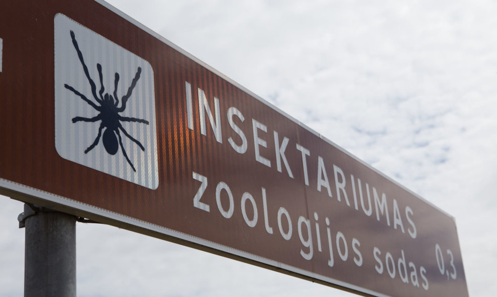 Uždarytas Insektariumas Palangoje