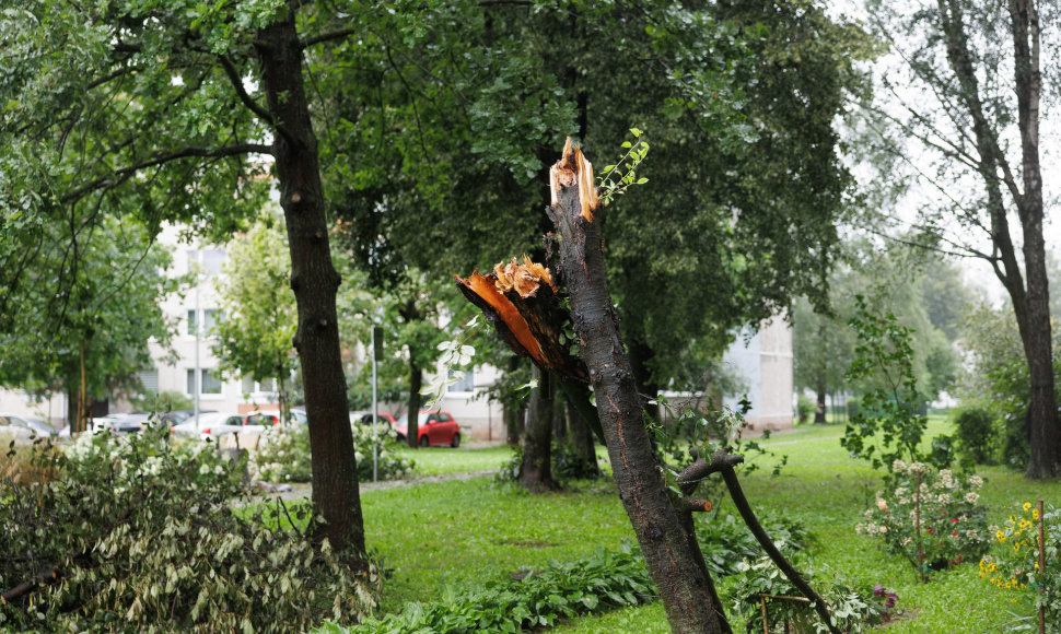 Audros padariniai Grigiškėse