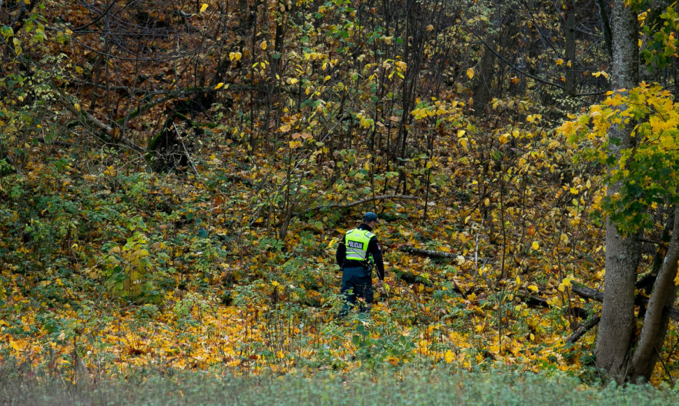 Dingusio baikerio Aivaro Kilkaus paieška