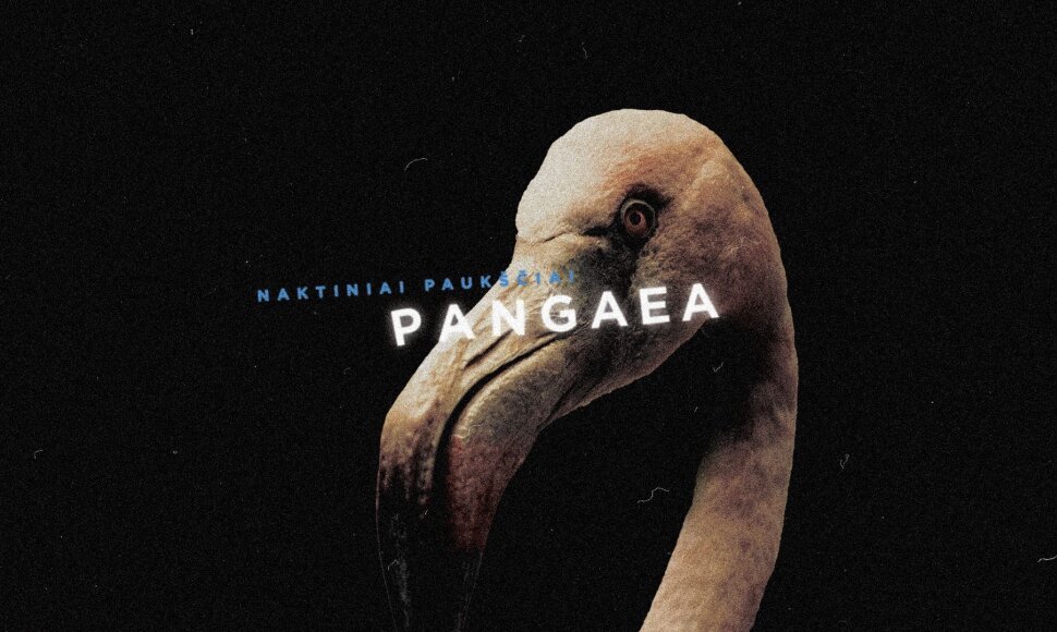 Naktiniai Pauk&scaron;čiai &bdquo;Kablyje&ldquo; atvers naują muzikinį kozirį &ndash; PANGAEA 