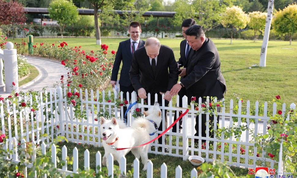 Vladimiras Putinas, Kim Jong Unas ir pungsanų veislės šunys
