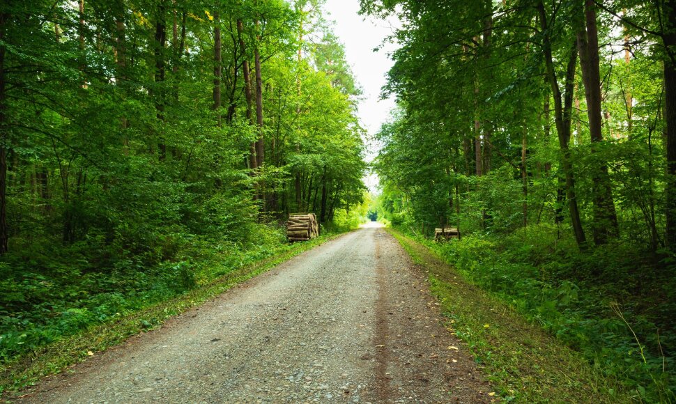 Mi&scaron;kas