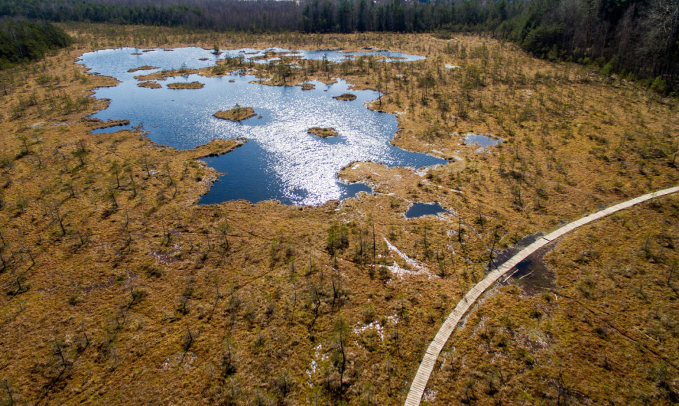 Varnikų pažintinis takas