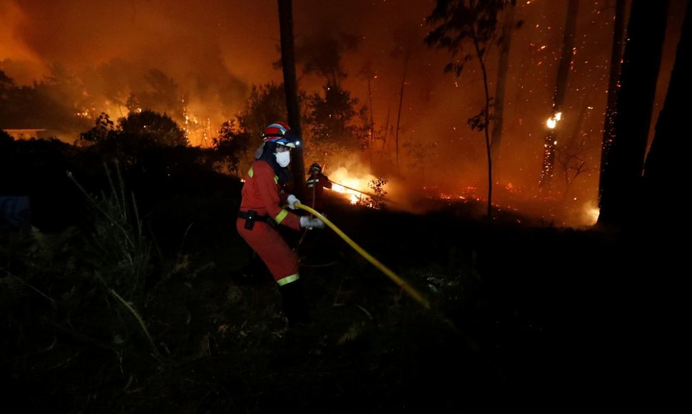 Miško gaisras Portugalijoje