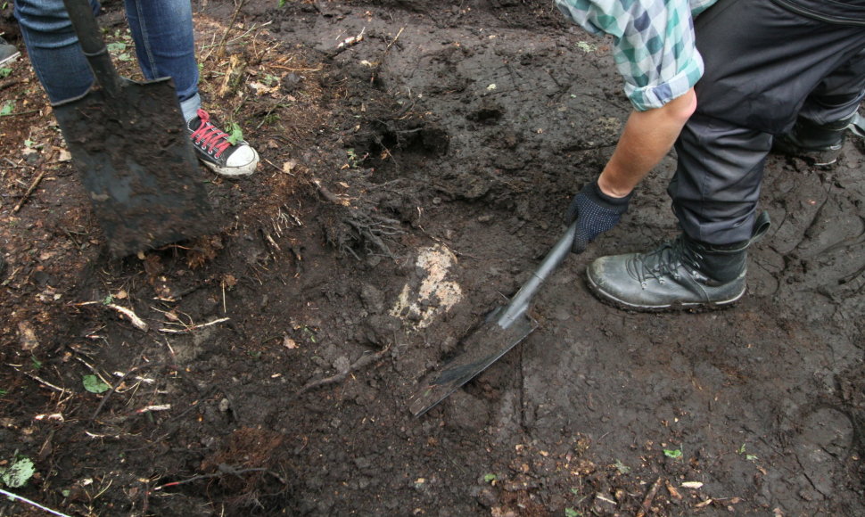 Archeologai Medvėgalio papėdėje aptiko kūlgrindą