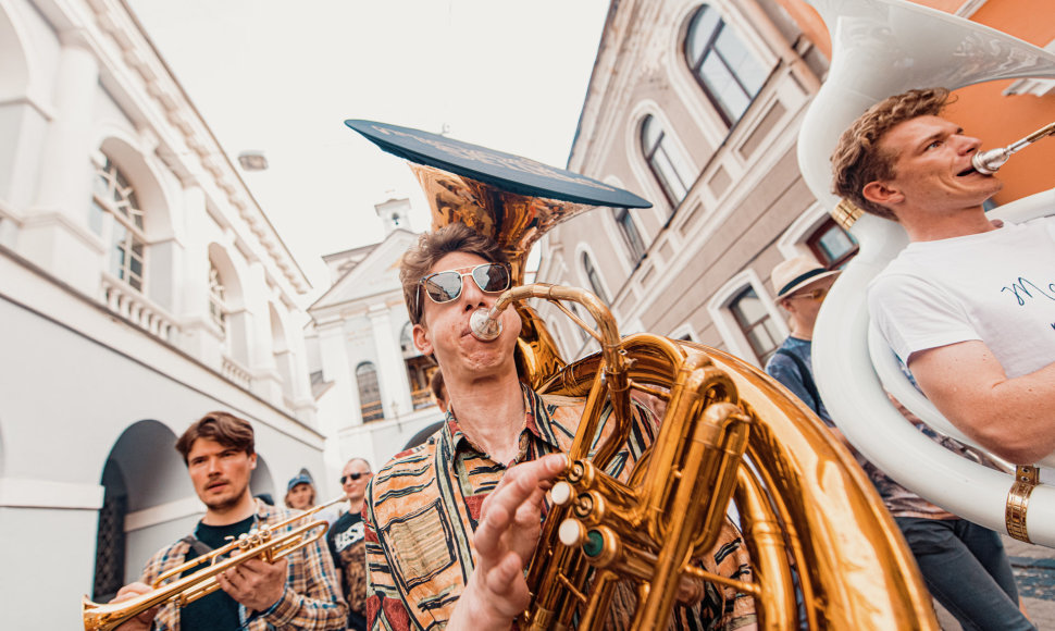 Gatvės muzikos dienos akimirka