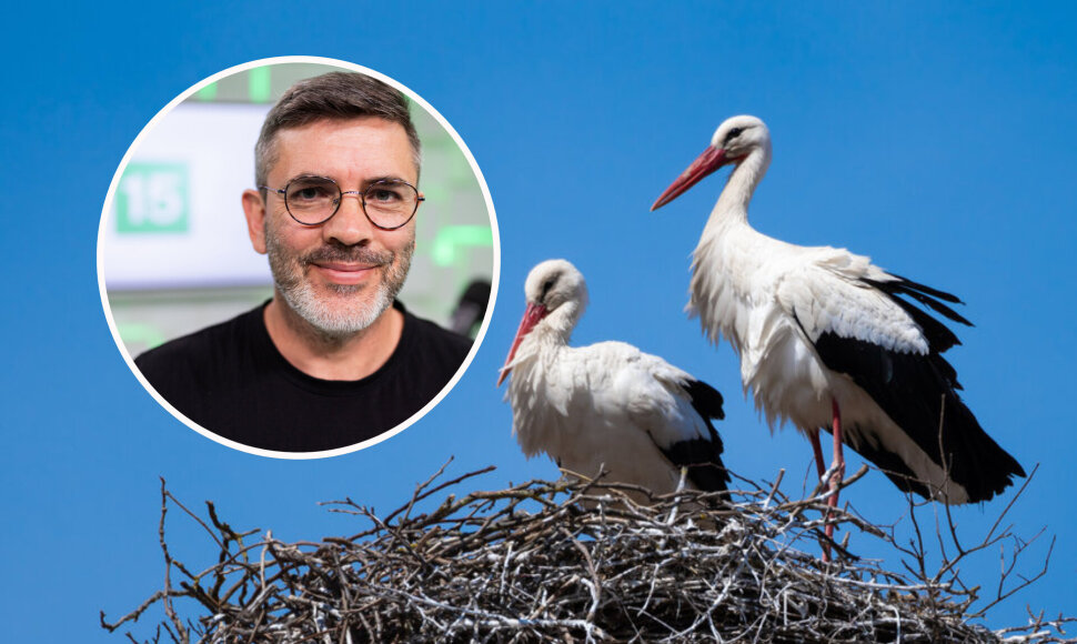 Marius Čepulis papasakojo apie gandrų gyvenimą