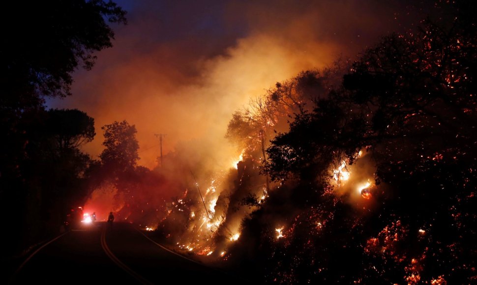 Kalifornijoje siaučiant dideliems krūmynų gaisrams paskelbta didelė evakuacija
