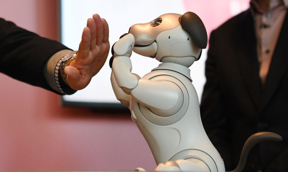 Robotai, tokie, kaip šis šuniukas „Aibo“, yra mieli ir negrėsmingi, kol yra „kvaili“. bet kas bus, kai jie mus pranoks?