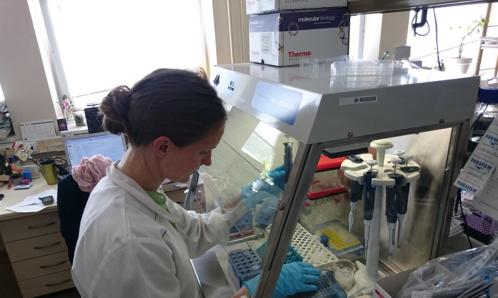 Viena iš VU „iGEM“ komandos dalyvių Ingrida Olendraitė dirba laboratorijoje