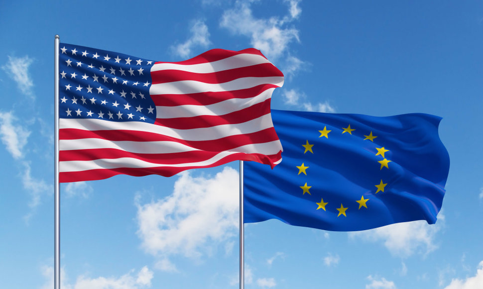 JAV ir ES