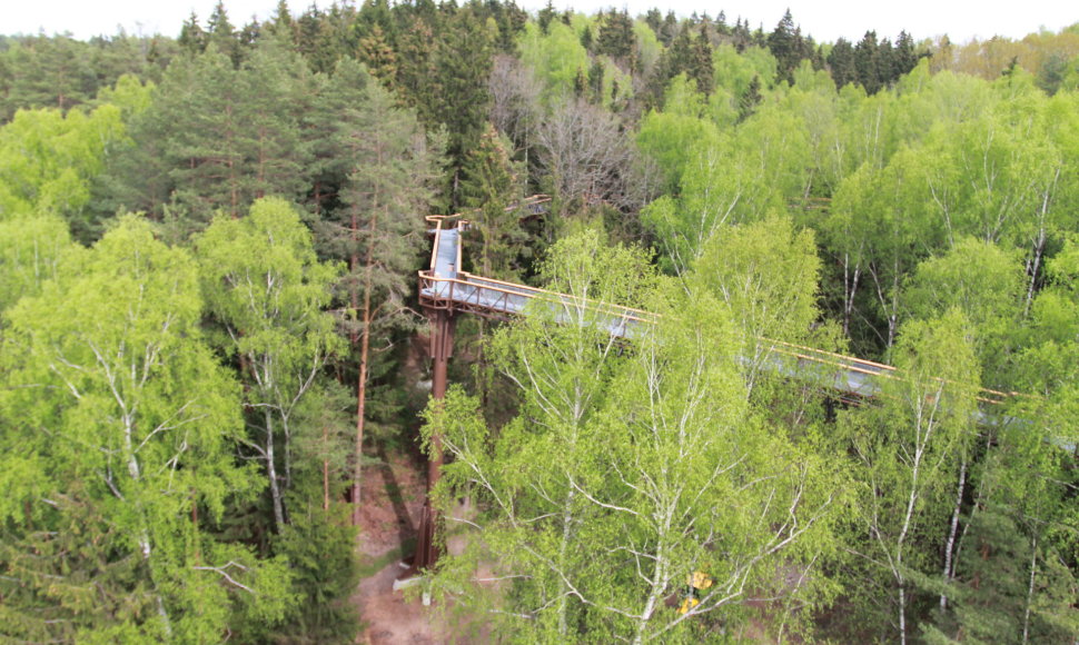 Medžių lajų takas iškyla iki 21 metro aukščio ir medžių viršūnėmis vingiuoja apie 300 metrų. Anykščių regioninio parko nuotr.