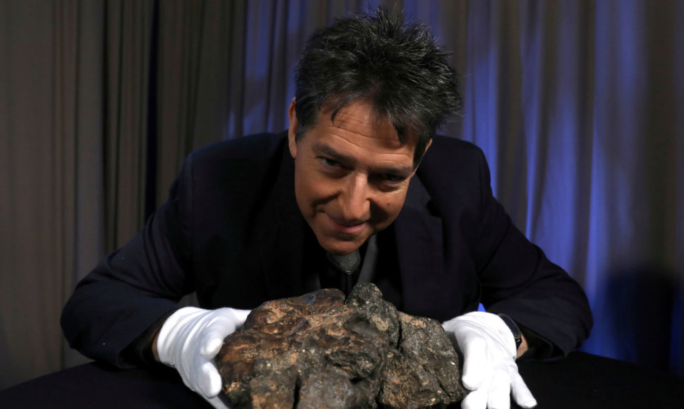 Iš Mėnulio atskriejęs meteoritas aukcione parduotas už 600 tūkst. dolerių.