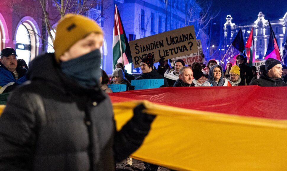 Eitynės &bdquo;Ukraina &ndash; nedaloma!&ldquo; / BNS nuotr.