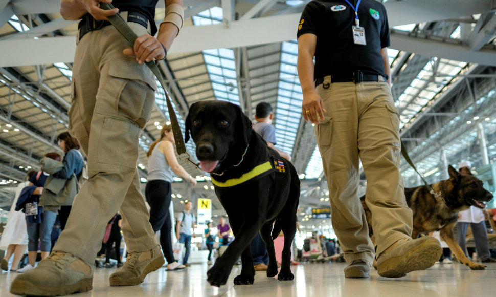 Tarnybinis šuo oro uoste