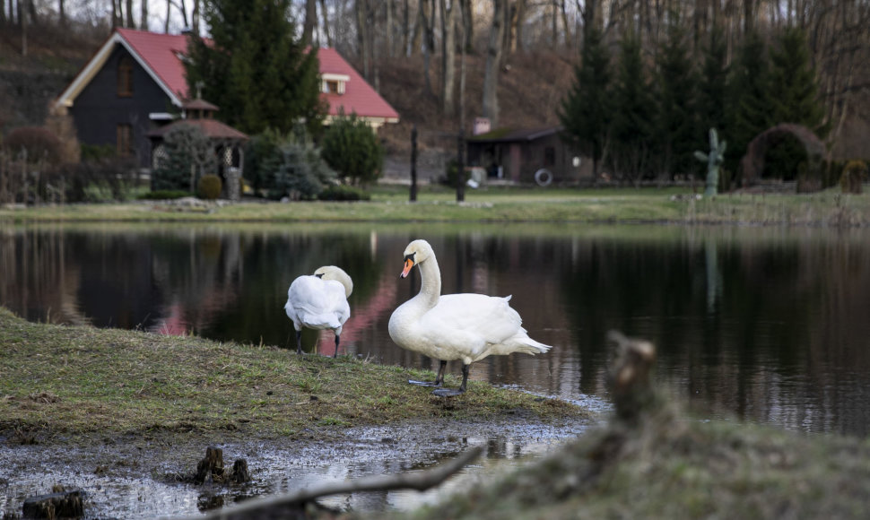 Žiema sausio mėnesį Vilniuje