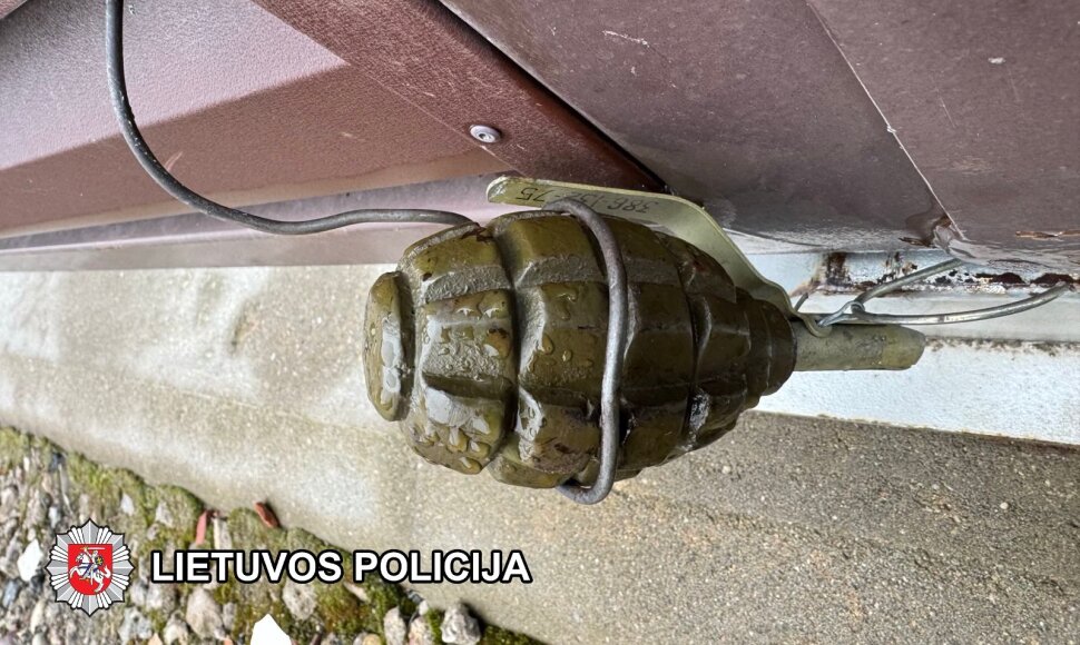 Bylos įkalčiai: granata ant tvoros