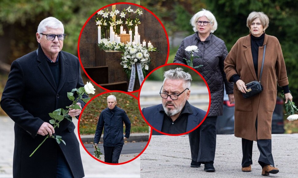 Atsisveikinimas su Henriku Vaitiekūnu