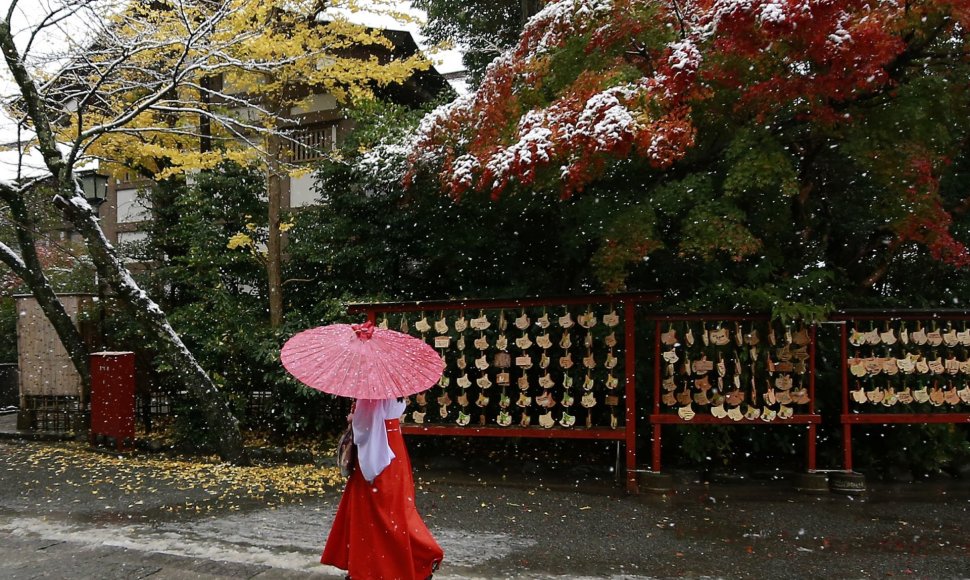 Tokijuje pirmąkart per 54 metus lapkritį iškritęs sniegas sutrikdė eismą