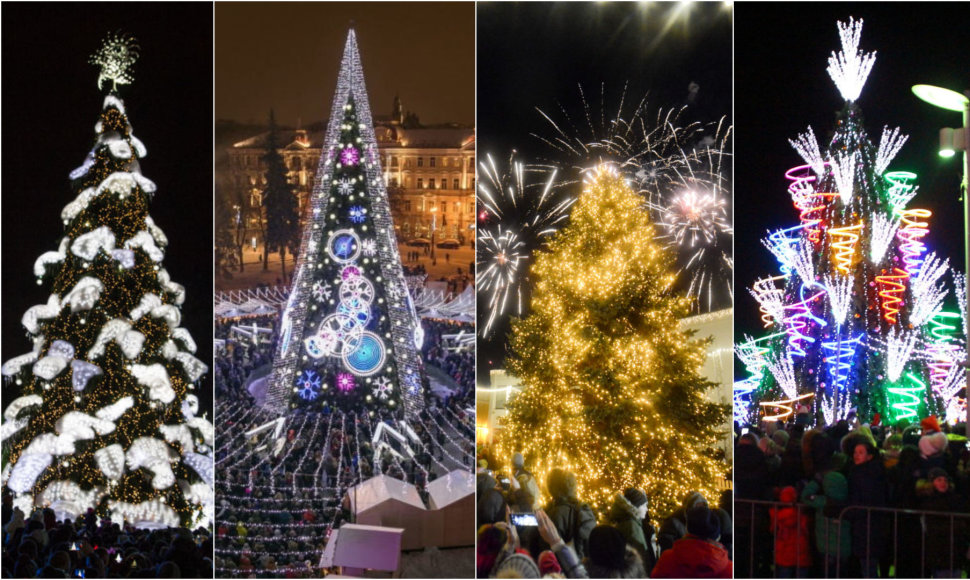 Kauno, Vilniaus, Klaipėdos ir Panevėžio eglės