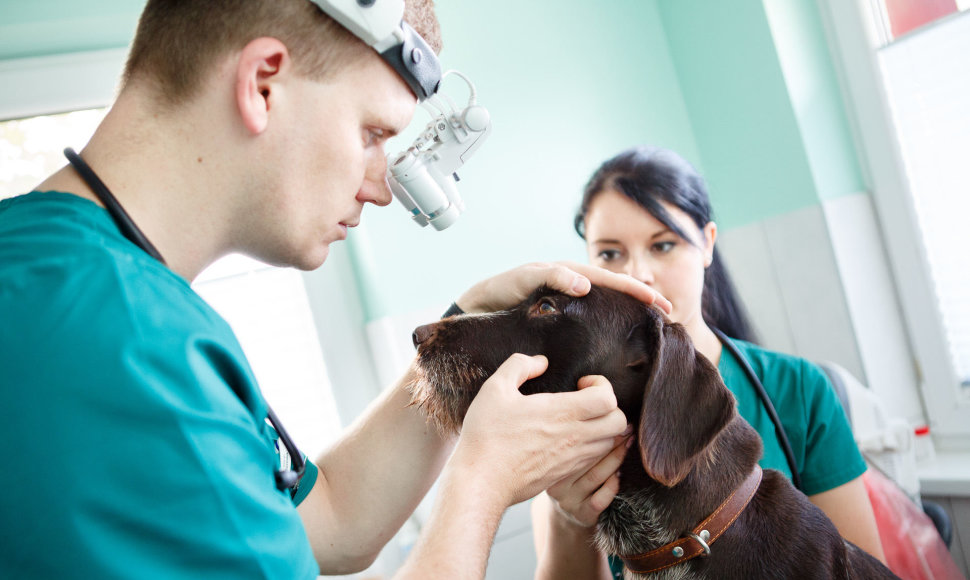 Gyvūnų ir žmonių organizmus gretinantis veterinaras V.Siaurys kuria naują kliniką