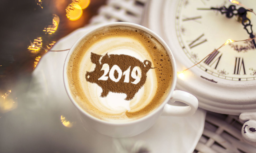 2019-ieji – Kiaulės metai