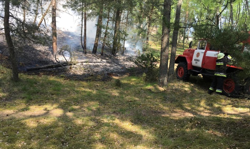 Prieš daugiau nei savaitę padegėjas sukėlė gaisrą Nidoje, ant Urbo kalno.