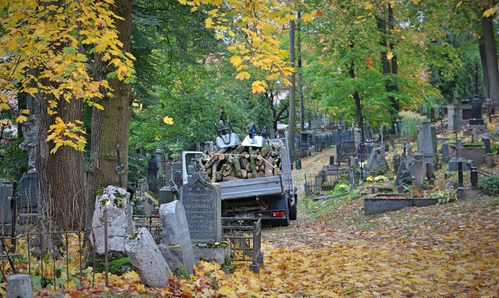Bernardinų kapinėse kertami medžiai