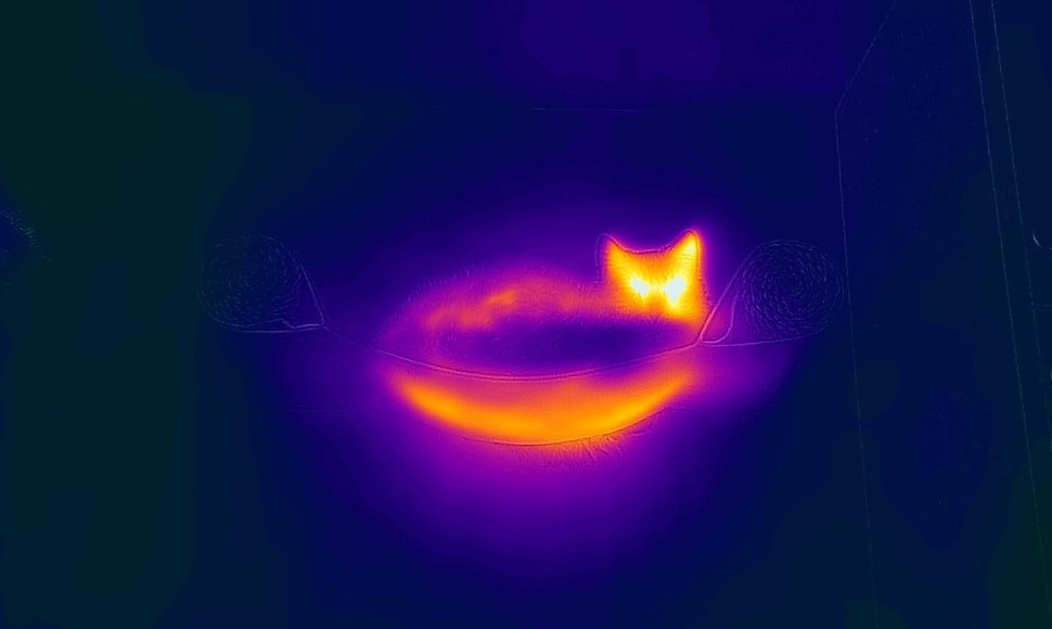 „CAT S62“ termovizoriaus nuotraukos