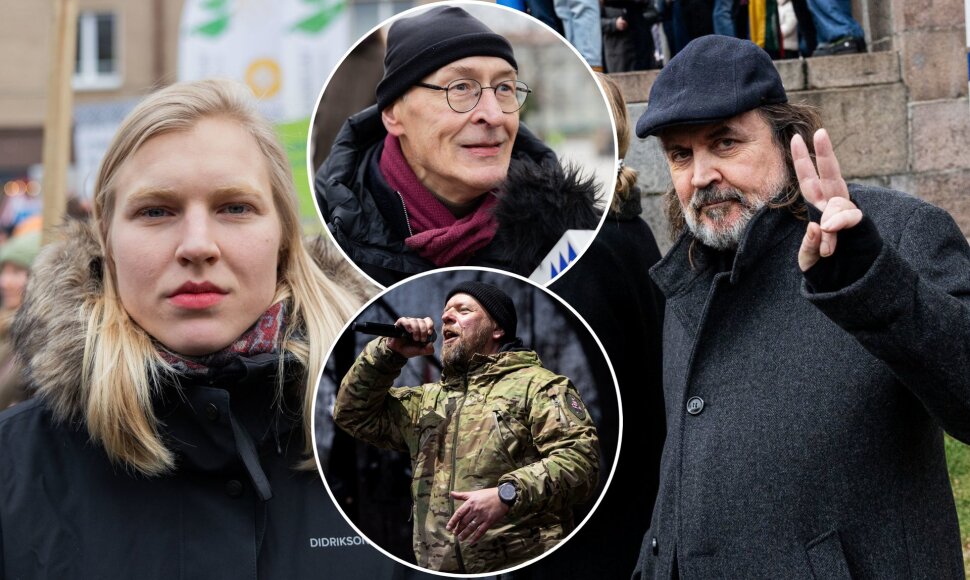 Žinomi žmonės kultūros bendruomenės finaliniame mitinge