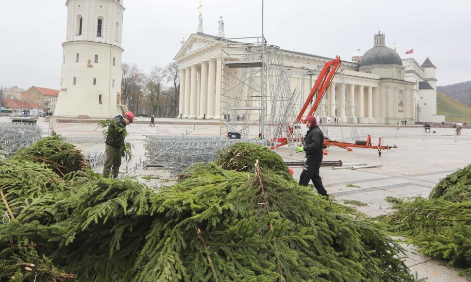 Statoma Kalėdų eglė prie katedros