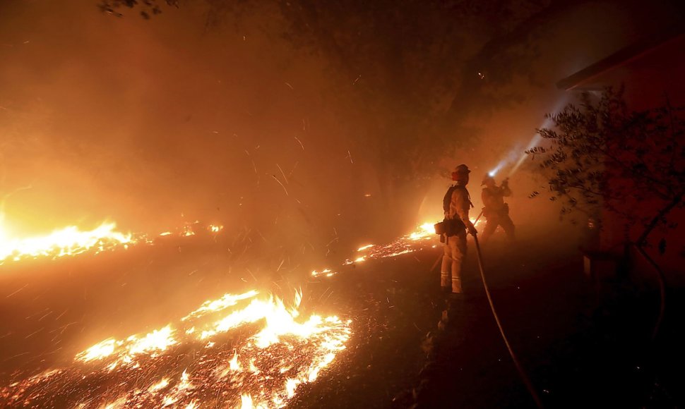 Kalifornijoje ir vėl siaučia miškų gaisrai