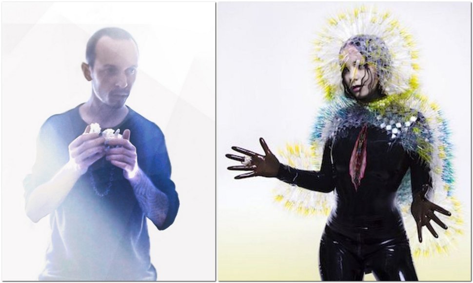 Benas Staškauskas ir Bjork albumo „Vulnicura“ viršelis