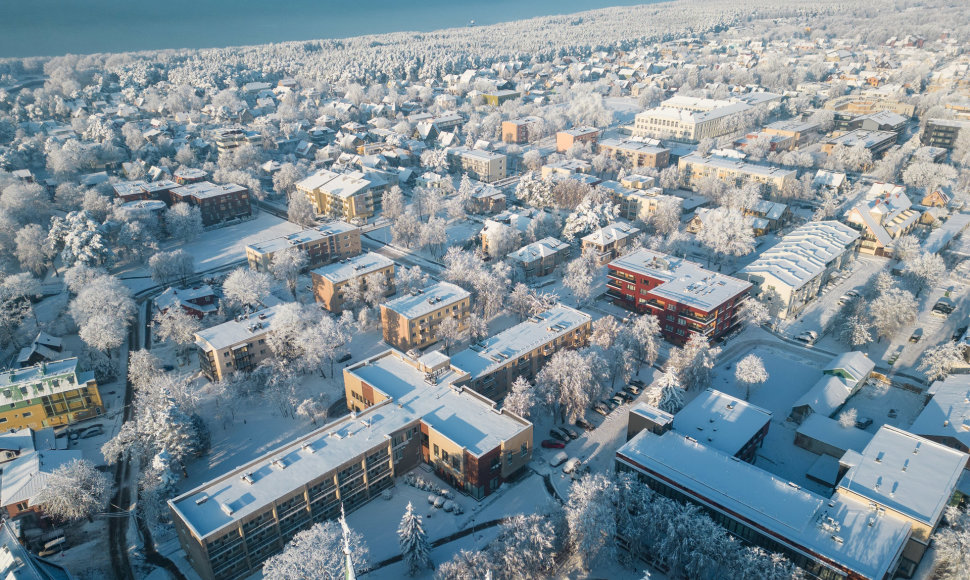 Palanga žiemą