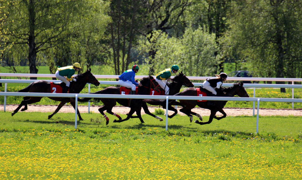  Pažinti žirgų sportą iš arčiau. A. Gagaitytės nuotr.