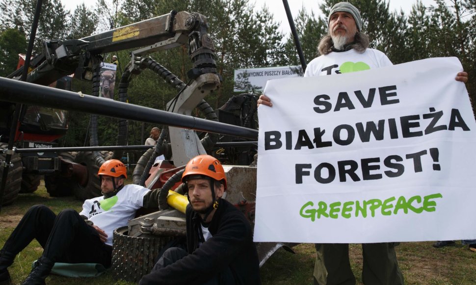 Lenkijos aktyvistai protestuoja prieš didelio masto kirtimus Belovežo girioje