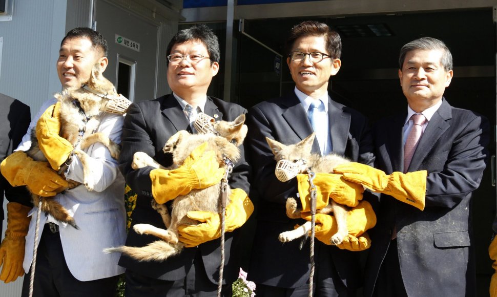 Woo Sukas Hwangas (kairėje) su komanda laiko klonuotus kojotus